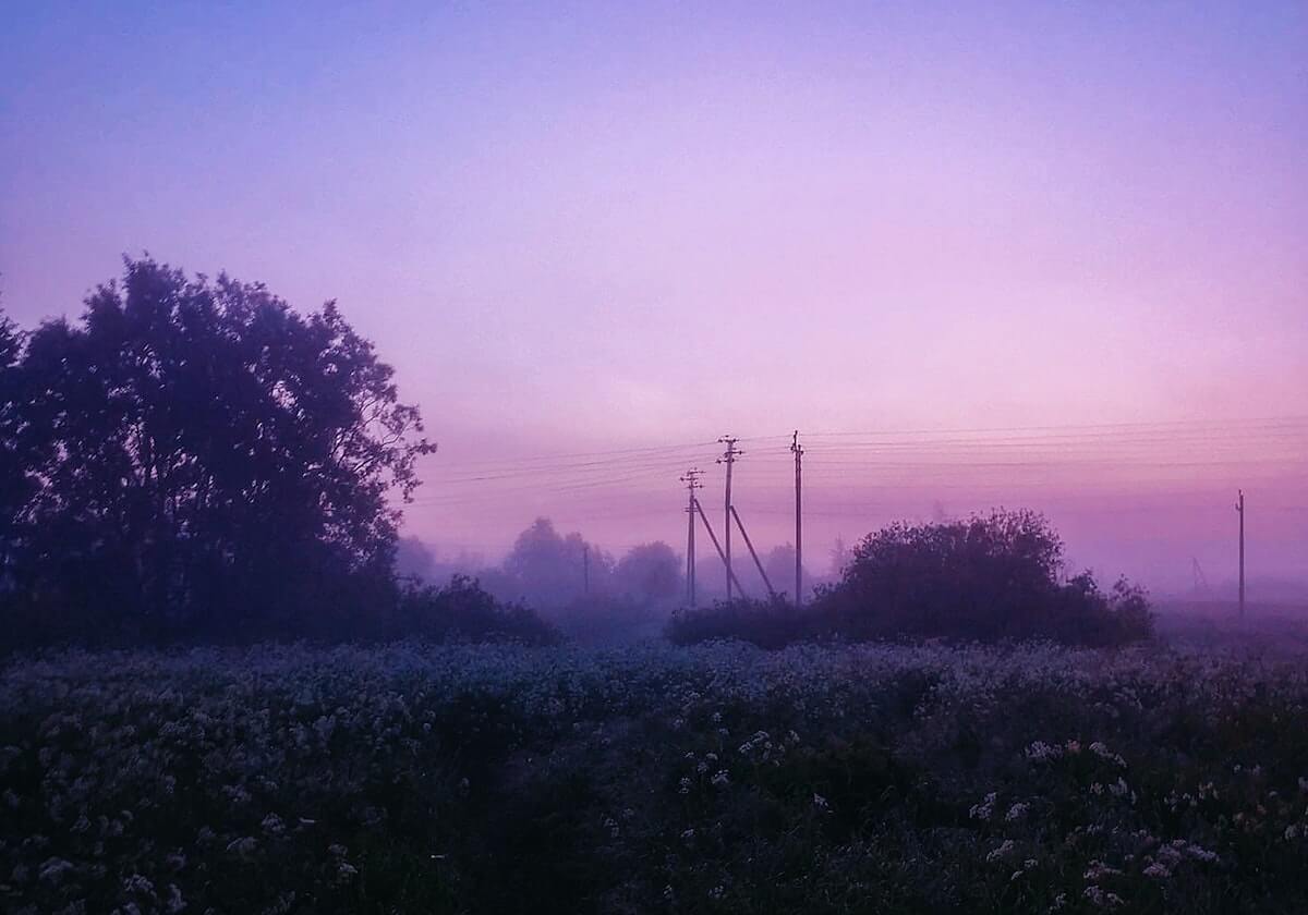 开云网页版：云端协同的新纪元